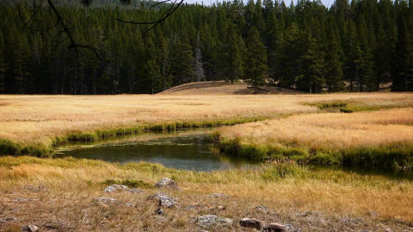 ISLAND PARK CAMPGROUND campground in Wyoming