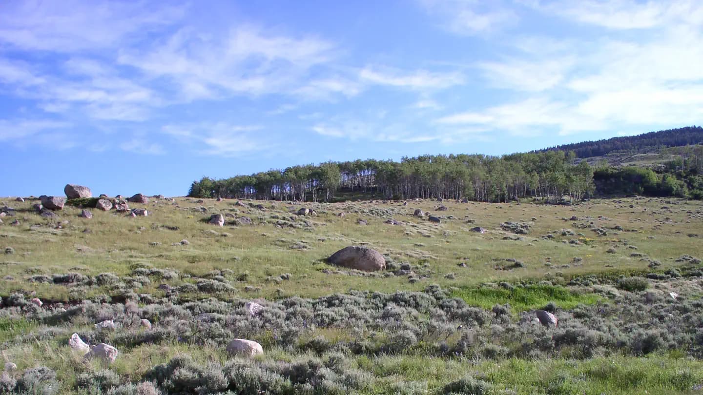 SHELL CREEK campground in Wyoming