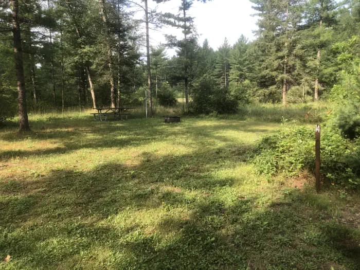 SOUTH BRANCH TRAIL CAMP GROUP SITE campground in Michigan