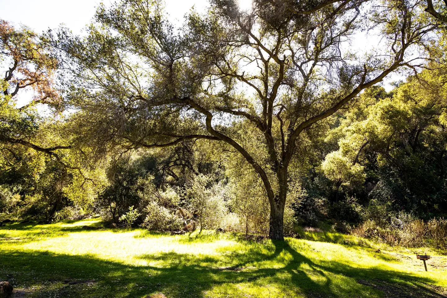 FREMONT CAMPGROUND campground in California