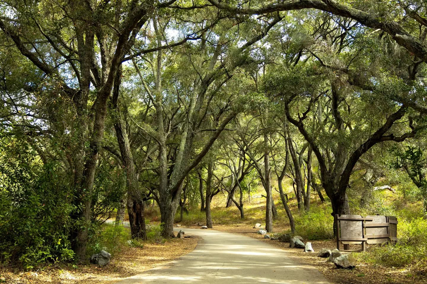 CERRO ALTO CAMPGROUND campground in US