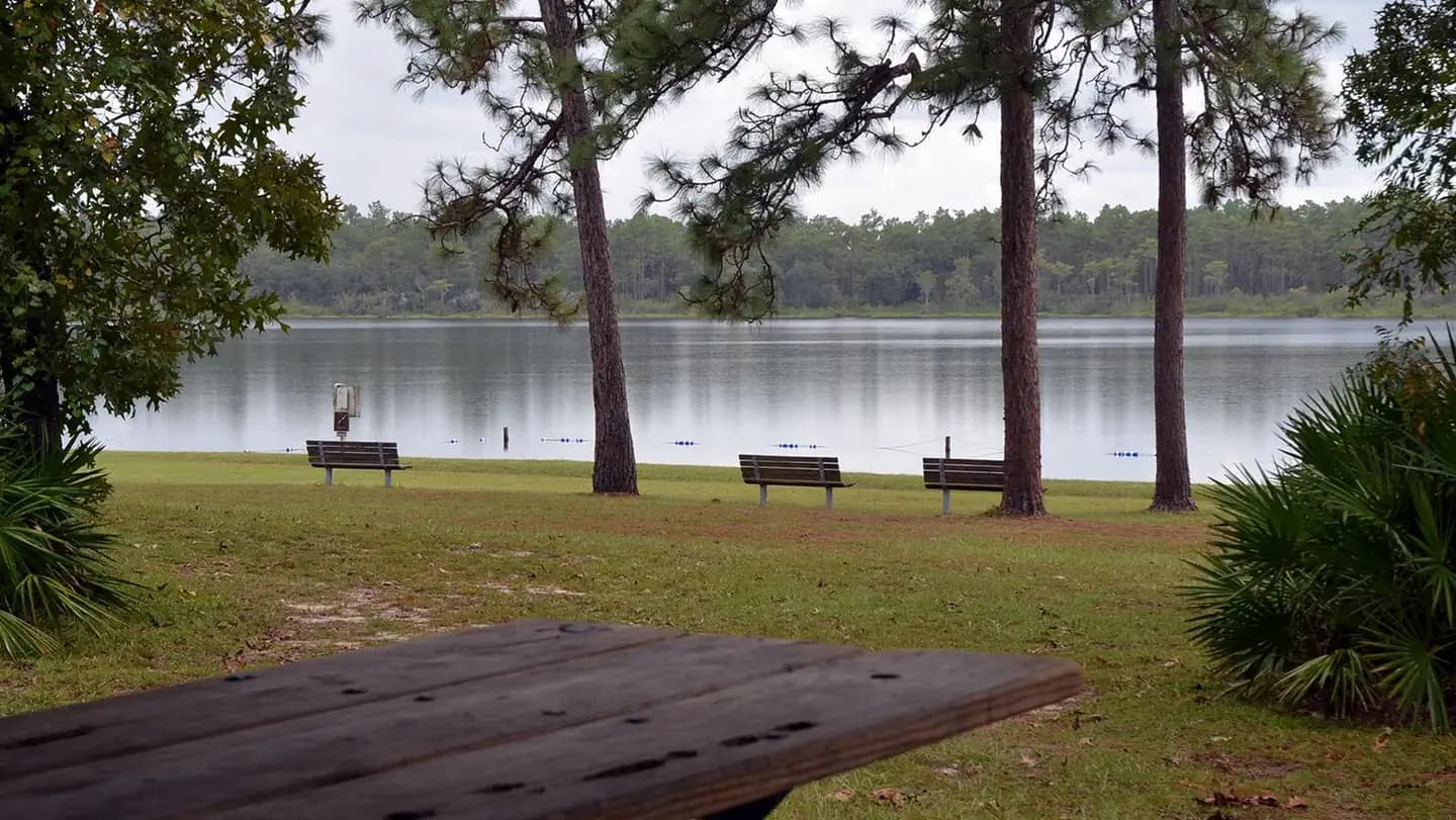 CAMEL LAKE CAMPGROUND campground in Florida