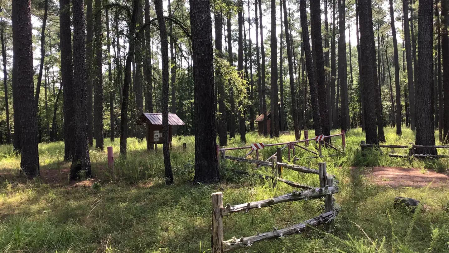 Poulous Loop Group Campground (Sc) in South Carolina