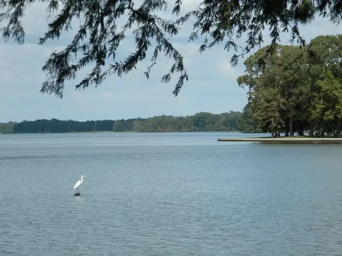 MERRISACH LAKE campground in Arkansas