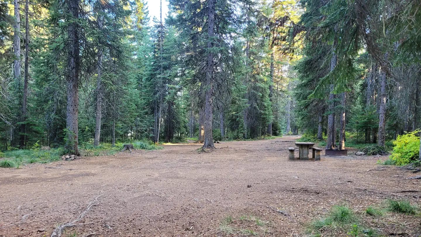 FISH CREEK GROUP USE campground in Idaho