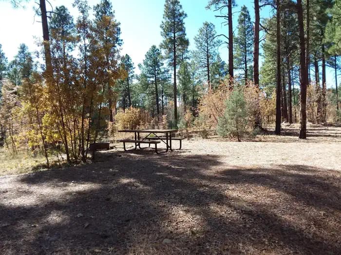 LEWIS CANYON campground in Arizona