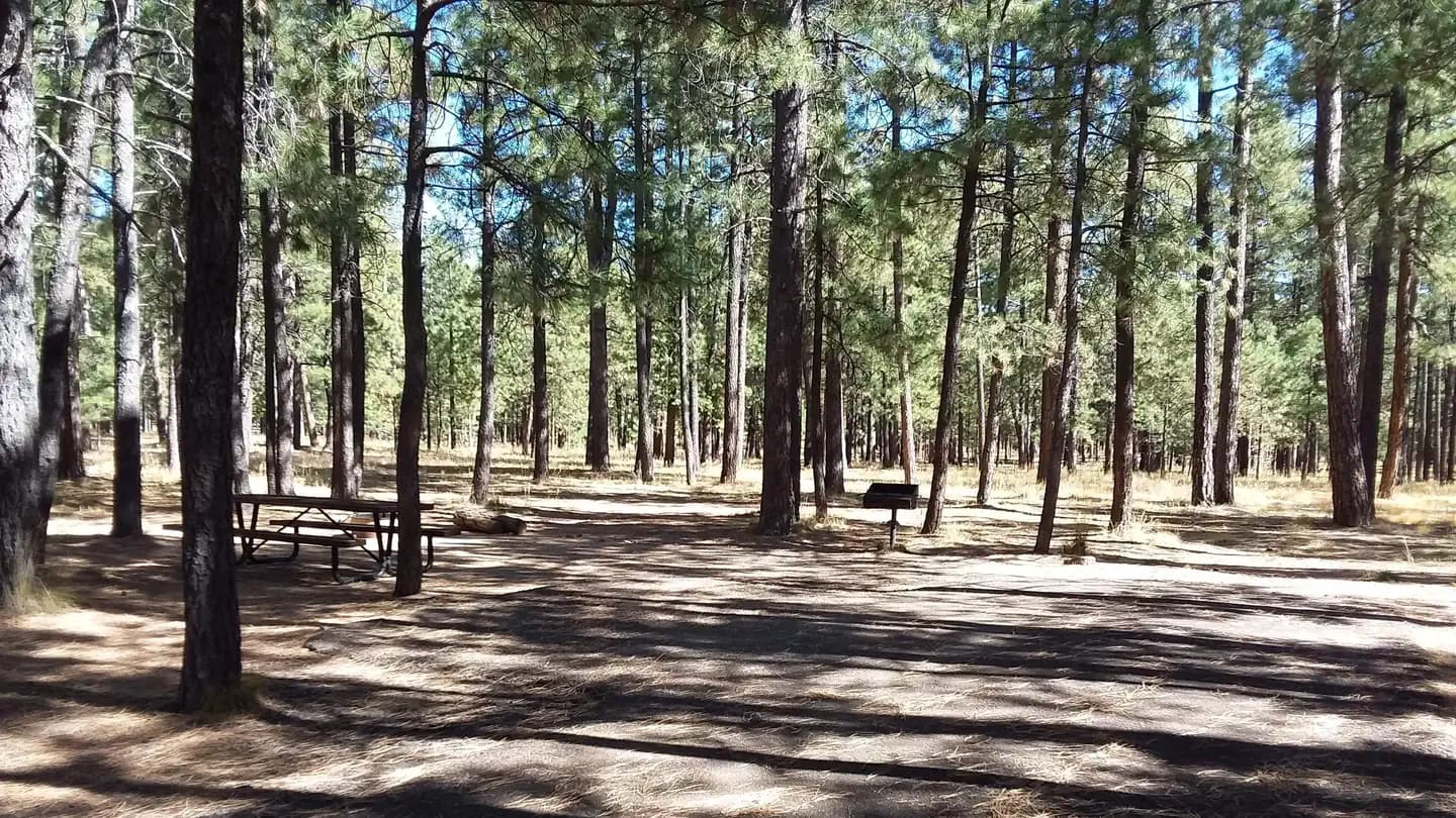 CANYON POINT campground in Arizona
