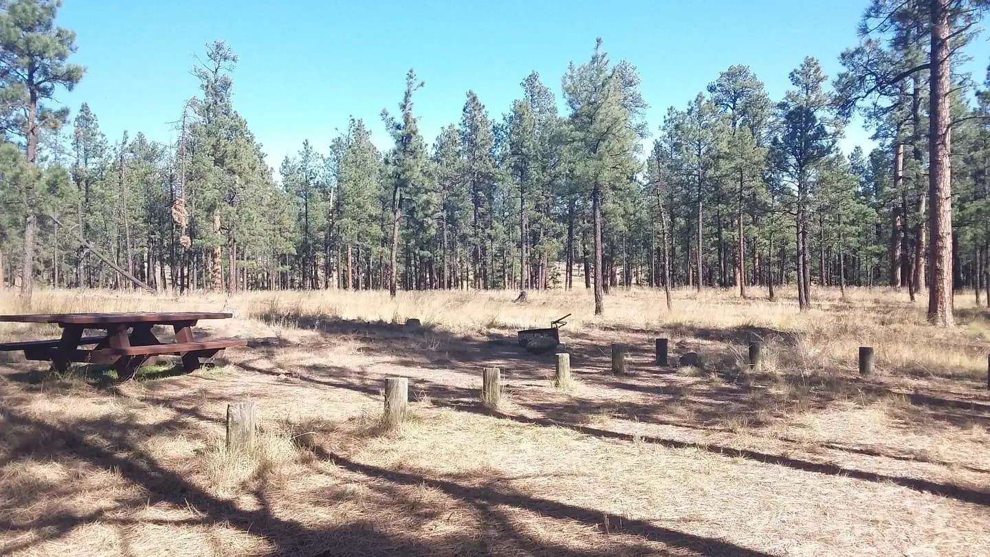 LUNA LAKE campground in Arizona