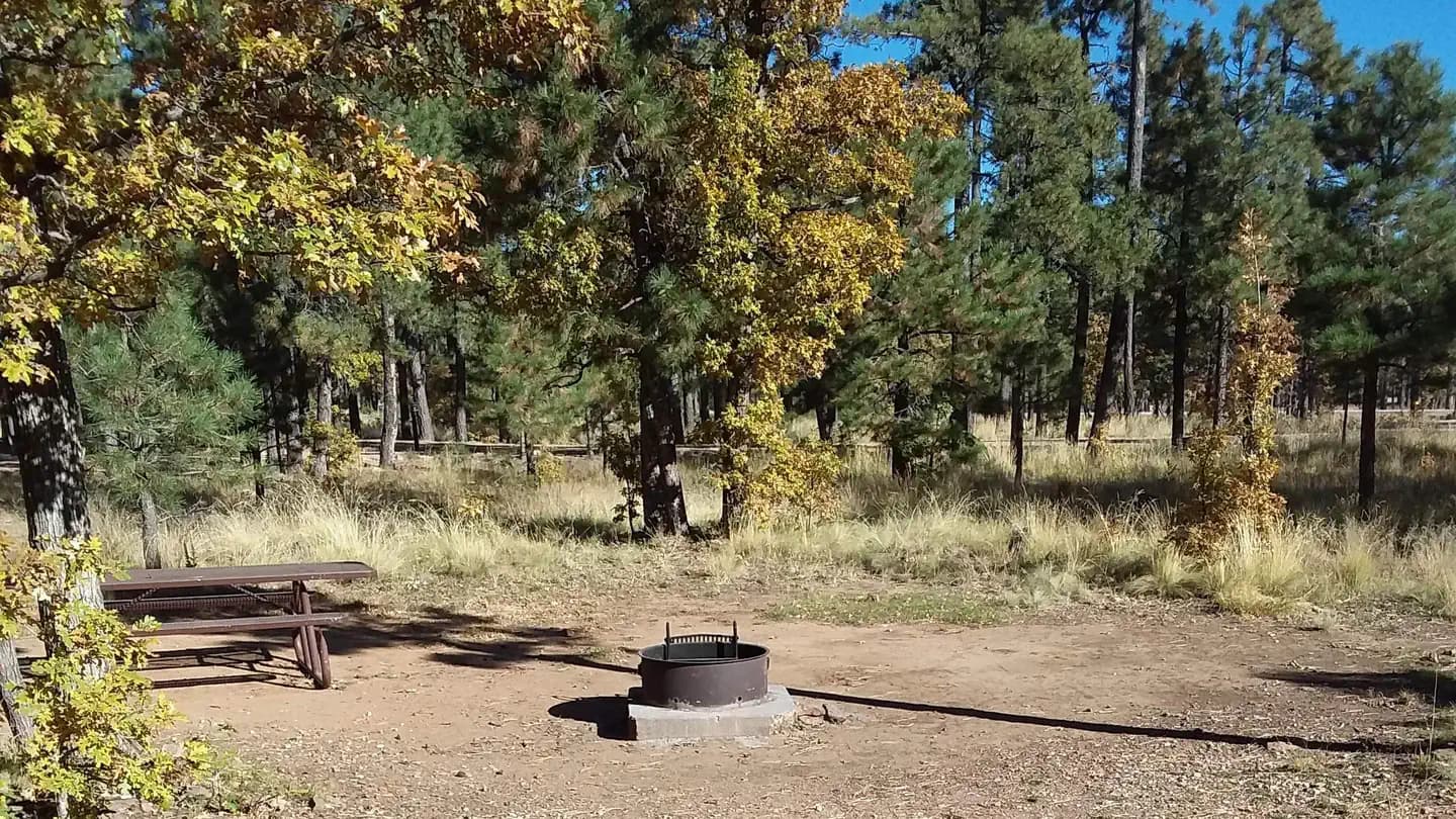 MOGOLLON CAMPGROUND campground in Arizona