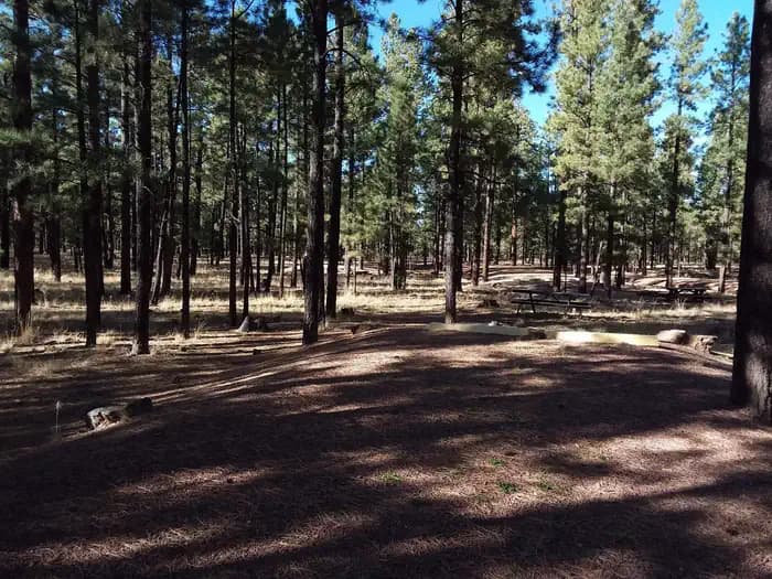 HOYER campground in Arizona