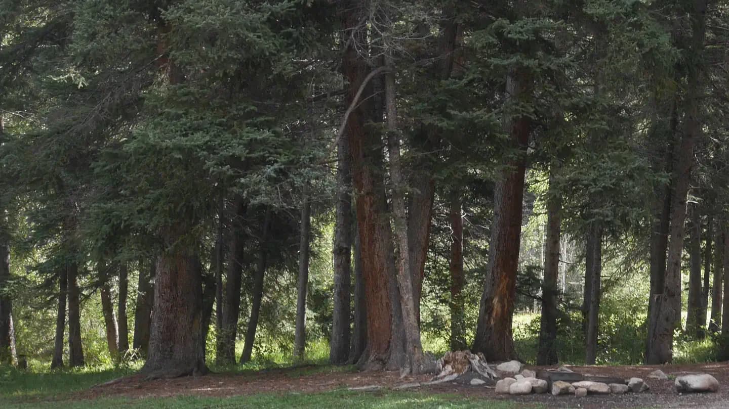 SANTA BARBARA CAMPGROUND campground in US