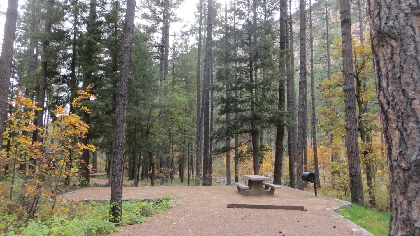 PINE FLAT CAMPGROUND WEST campground in Arizona