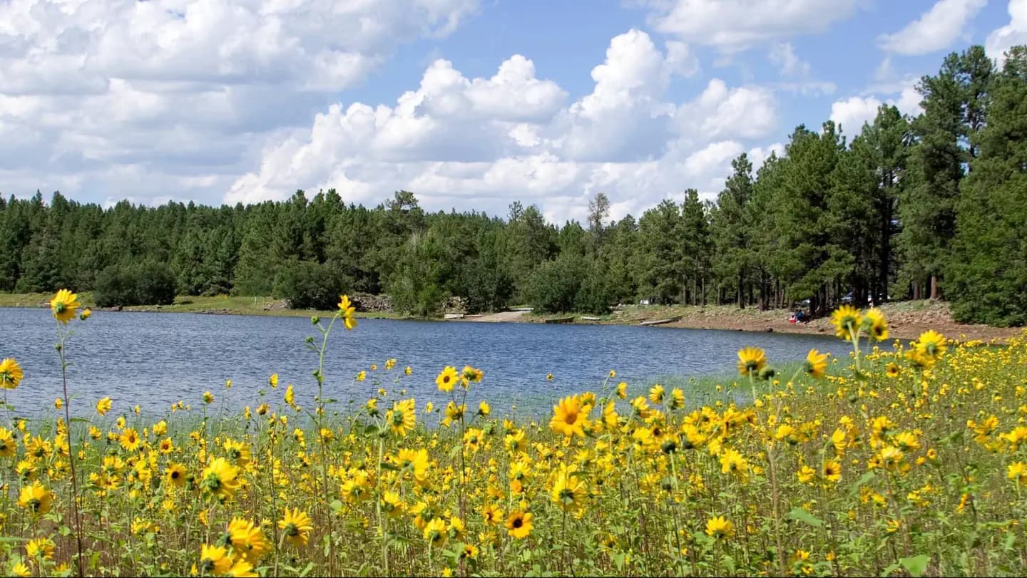DOGTOWN LAKE CAMPGROUND AND GROUP campground in Arizona