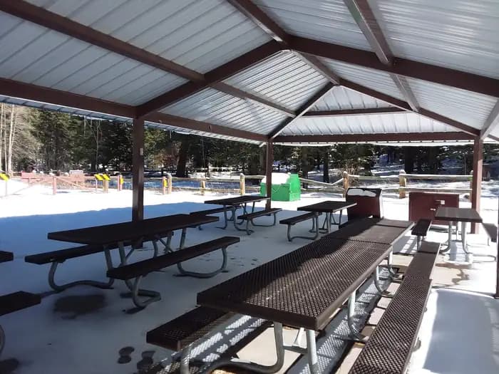 BLACK BEAR GROUP AREA campground in New Mexico
