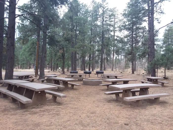 PLAYGROUND GROUP campground in Arizona