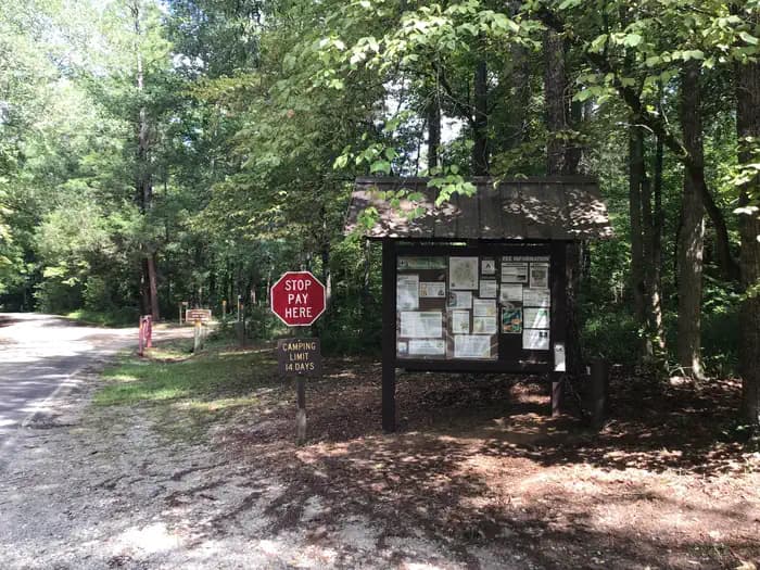 Woods Ferry Campground (SC) campground in South Carolina
