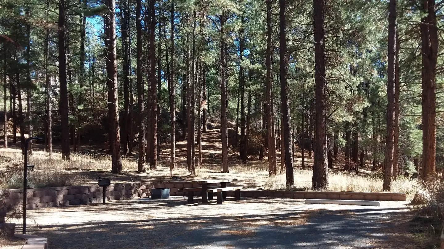 SAN ANTONIO CAMPGROUND campground in New Mexico
