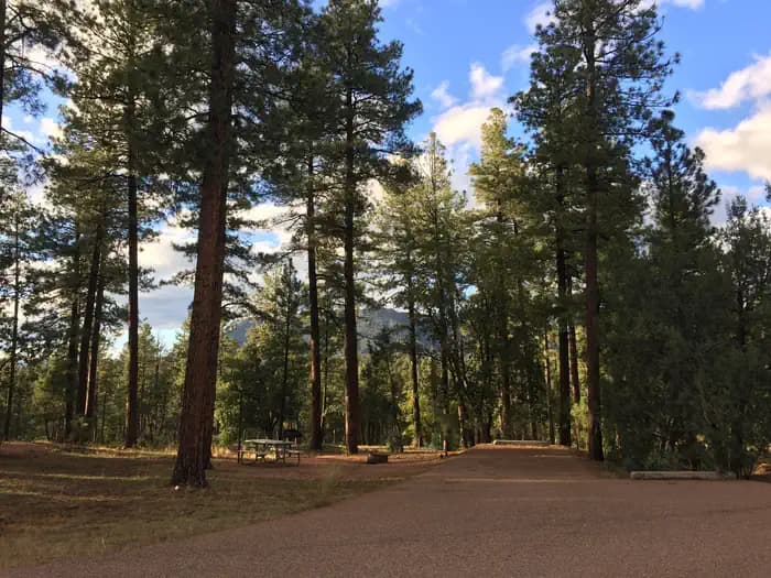 SHARP CREEK campground in Arizona
