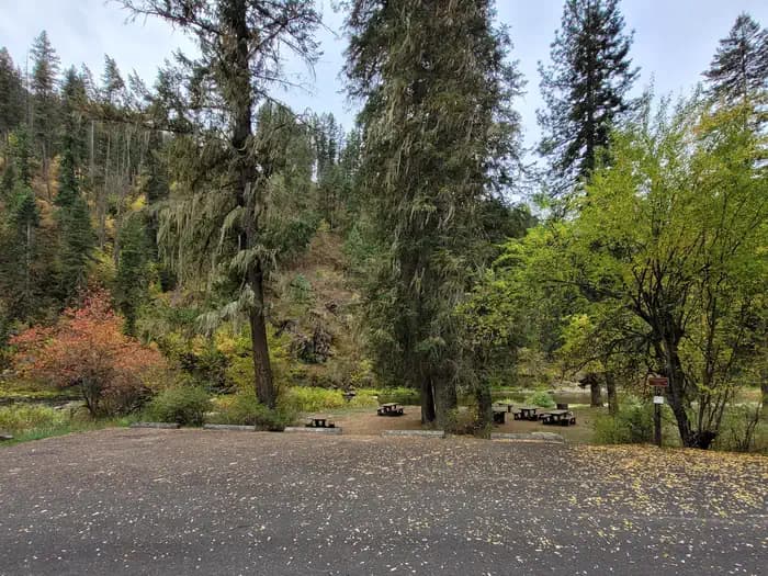 South Fork Group Site 5 - Nez Perce NF (ID) campground in Idaho