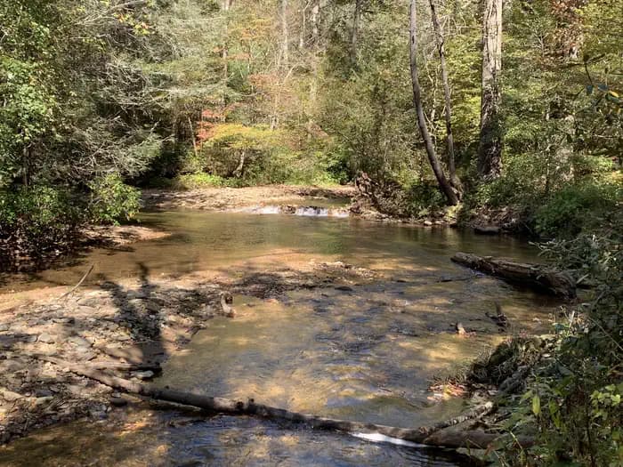 Cooper Creek Campground (GA) campground in Georgia
