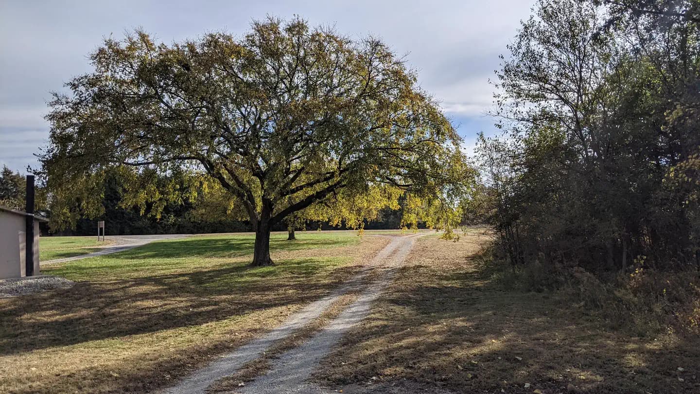 Timber Creek Park Campground in Kansas