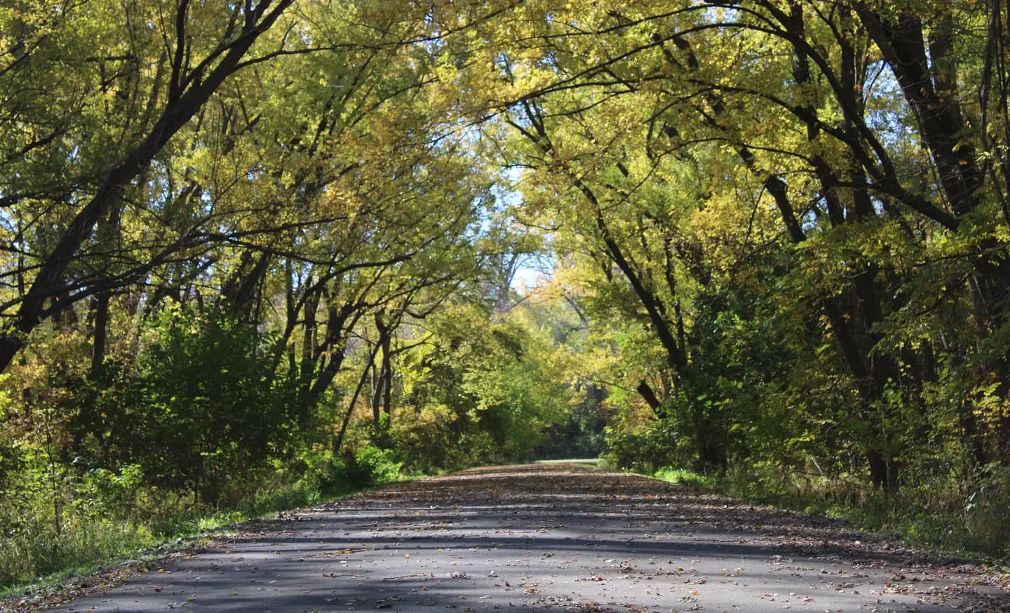 COTTONWOOD RECREATION AREA campground in Iowa