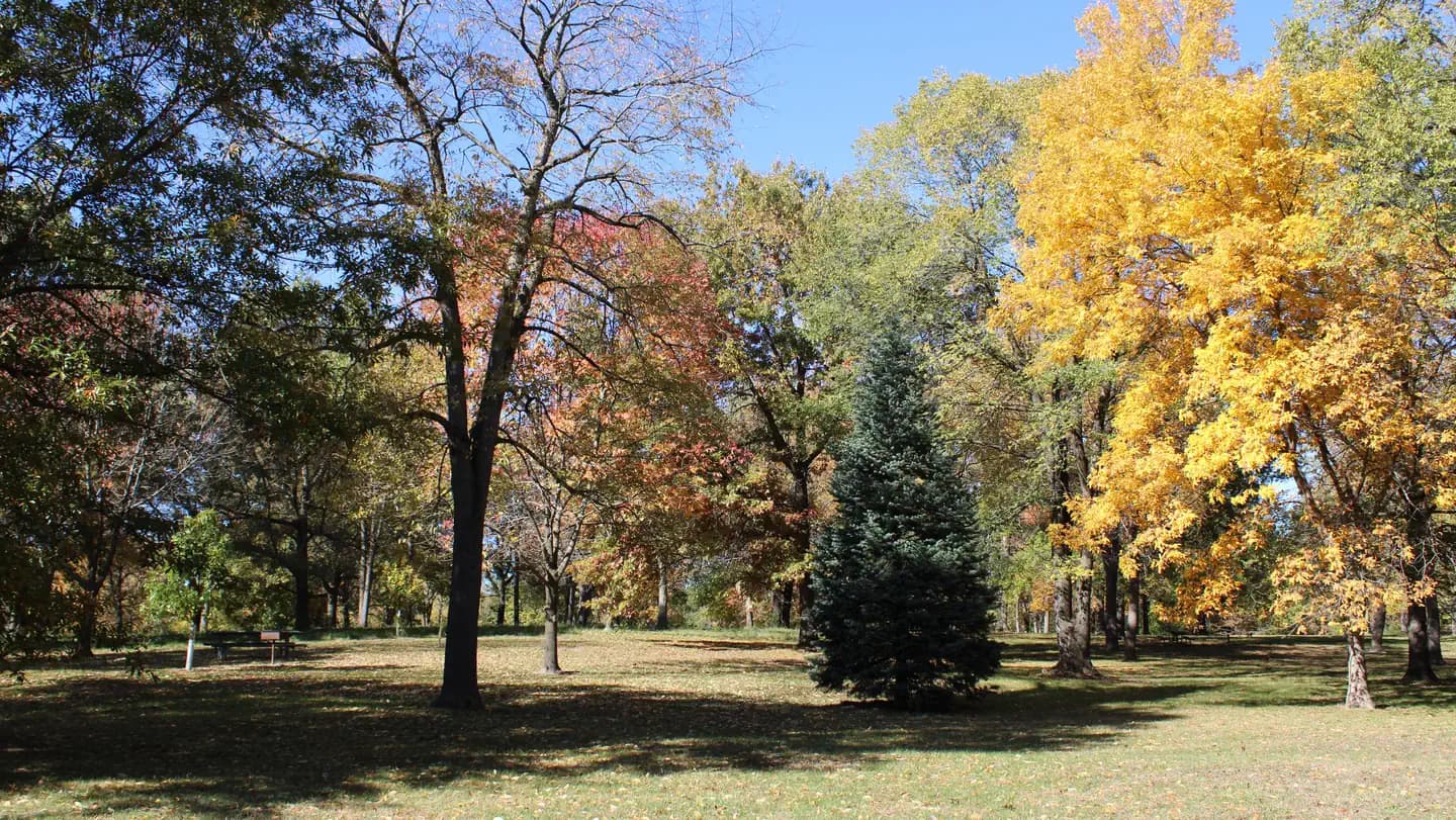 CHERRY GLEN PICNIC campground in Iowa