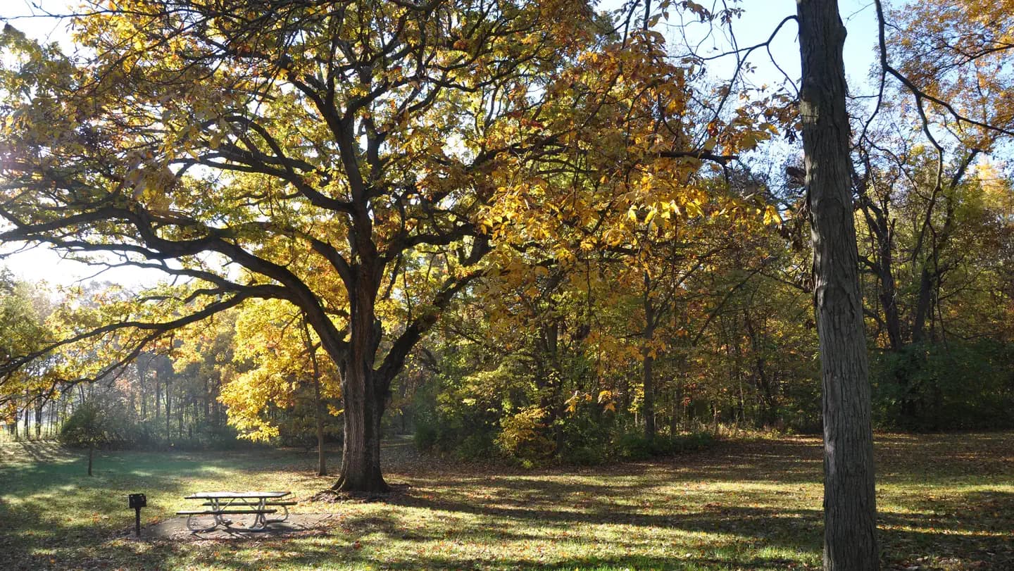 WALNUT RIDGE RECREATION AREA campground in Iowa