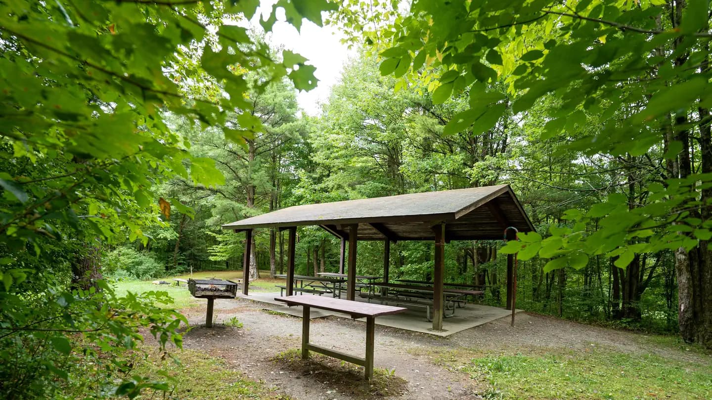 POTOMAC GROUP CAMPGROUND campground in New York