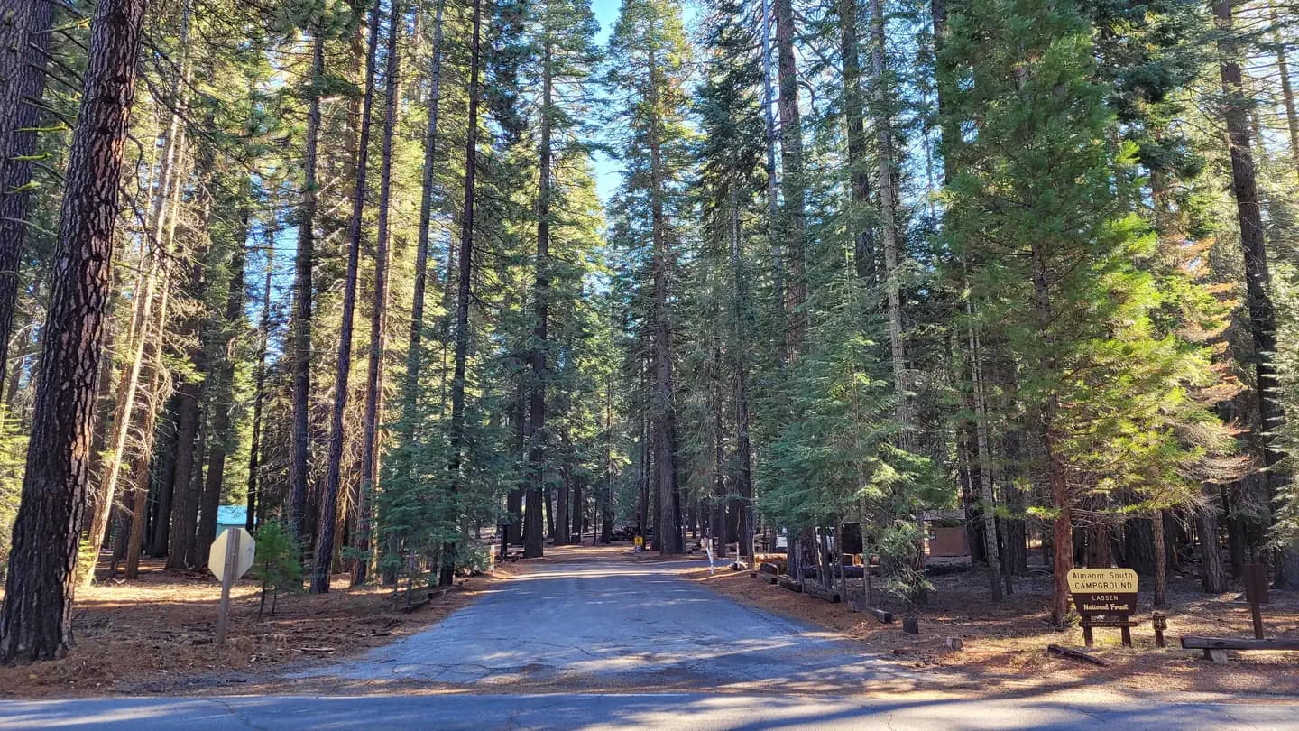 ALMANOR campground in California