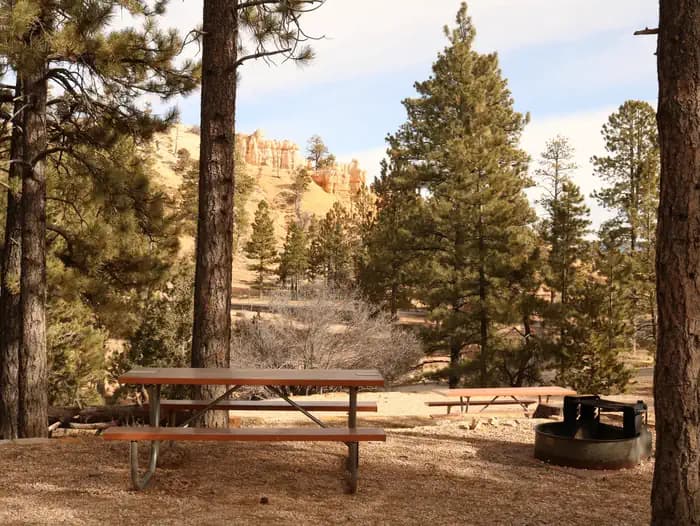 North Campground (UT) campground in Utah