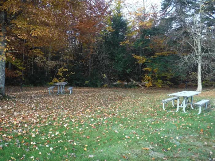 Au Train Lake Campground campground in Michigan