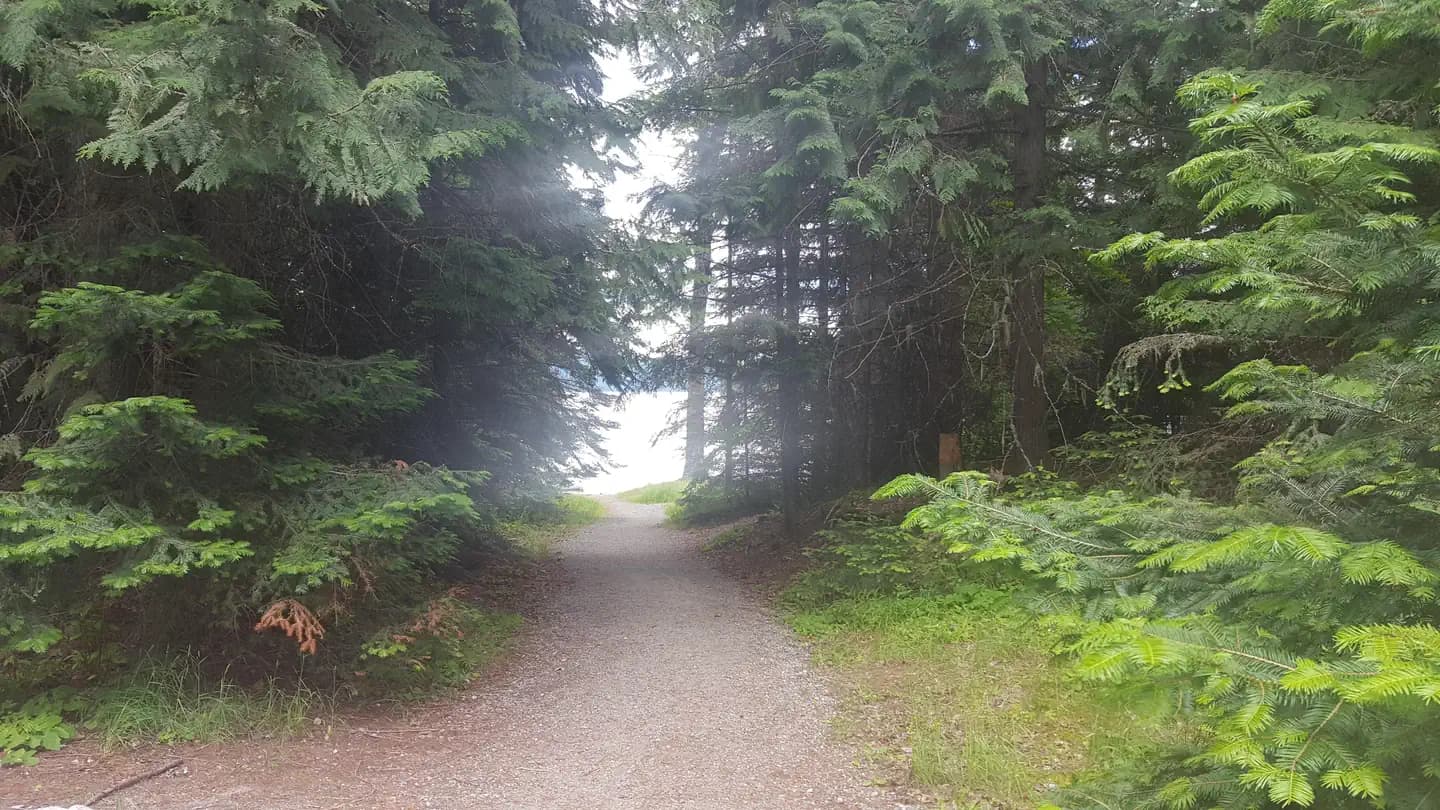BEAVER CREEK (IDAHO) campground in Idaho
