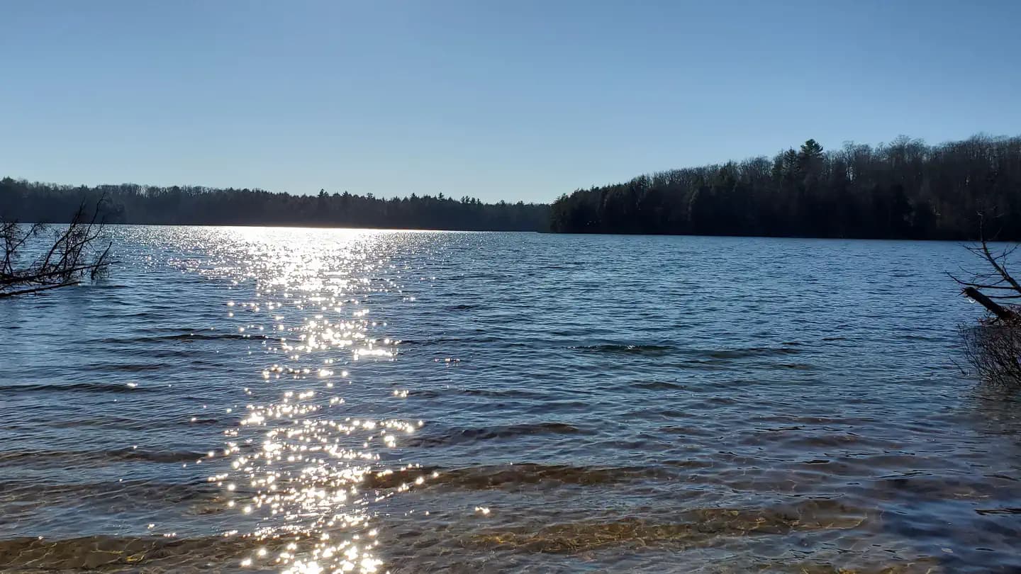 Pete’s Lake Campground campground in Michigan