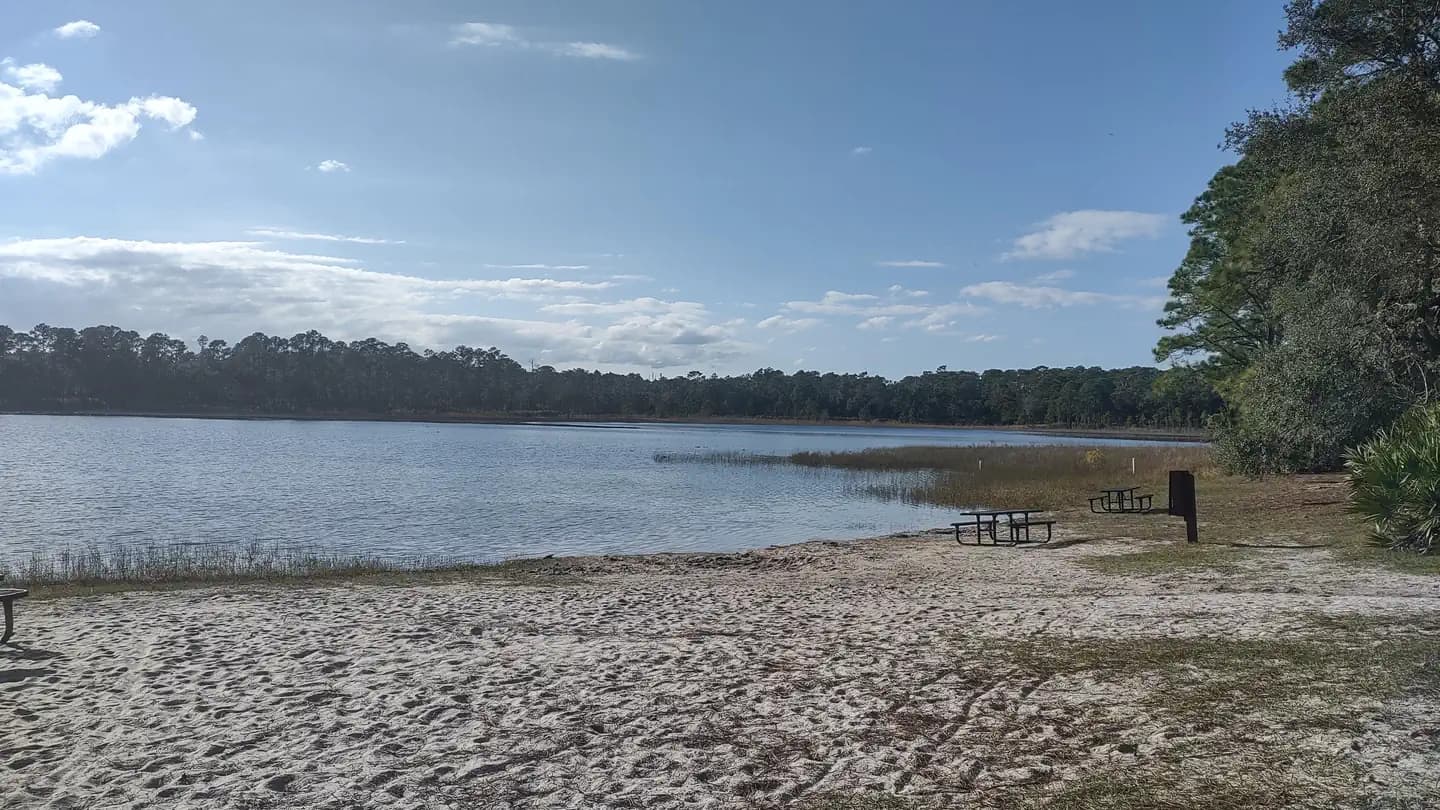CLEARWATER LAKE REC AREA campground in Florida