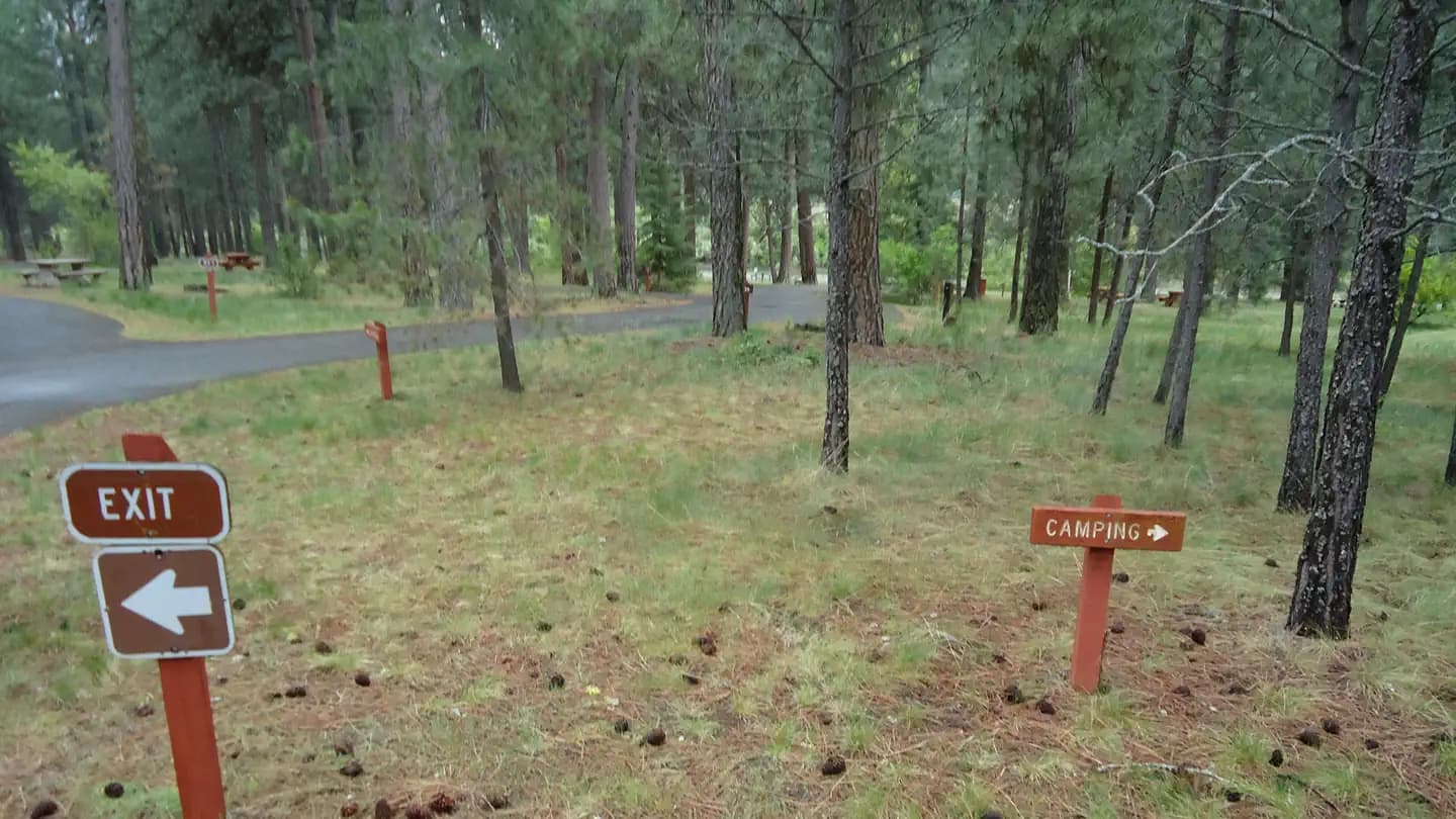 Sloway Campground (MT) campground in Montana