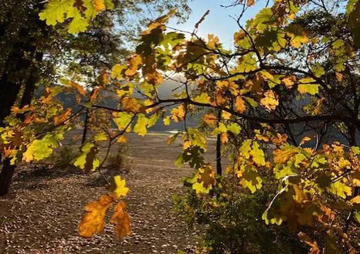 Gregory Beach Dispersed Area (CA) campground in US