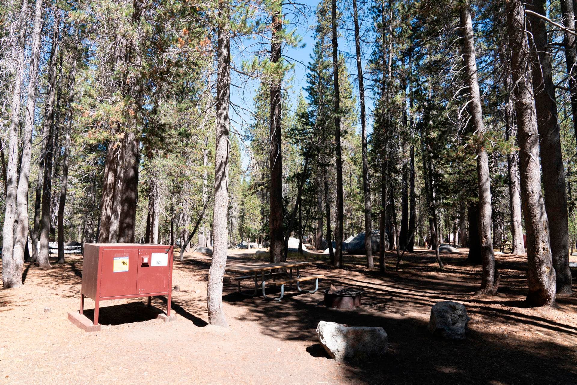 White Wolf Campground campground in California