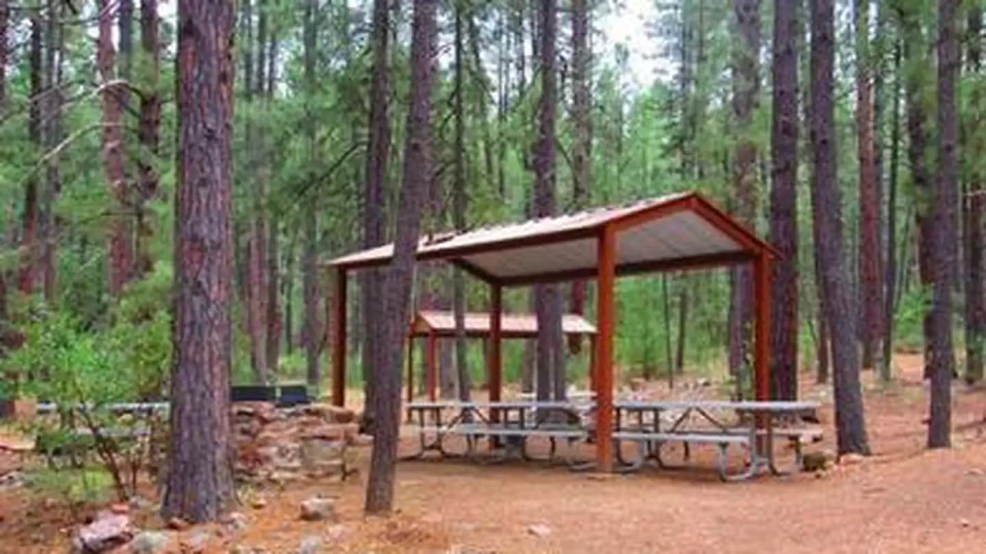 REYNOLDS CREEK GROUP CAMPGROUND campground in Arizona