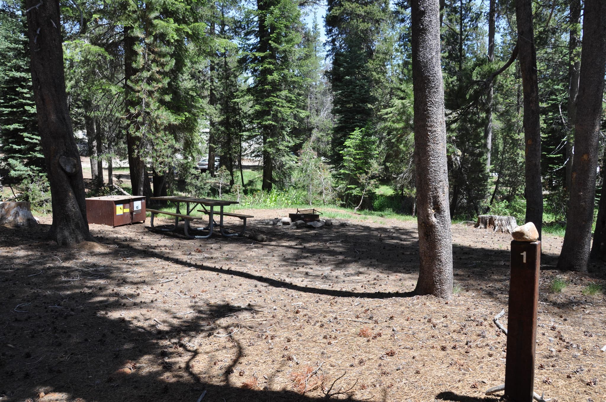 Yosemite Creek Campground campground in California