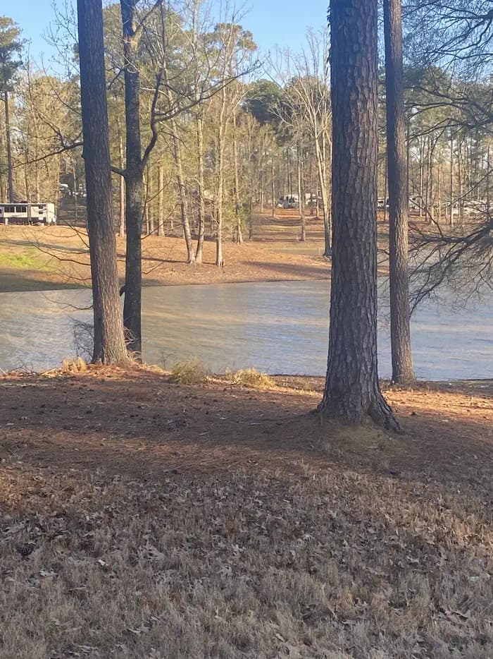 South Abutment Campground campground in Mississippi