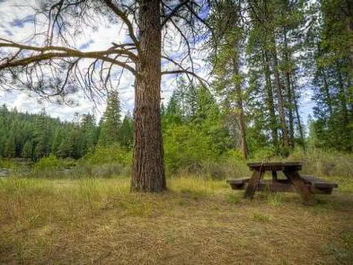 ALLEN SPRINGS CAMPGROUND campground in Oregon