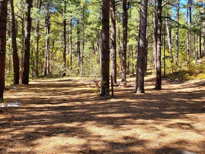 Double Springs campground in US