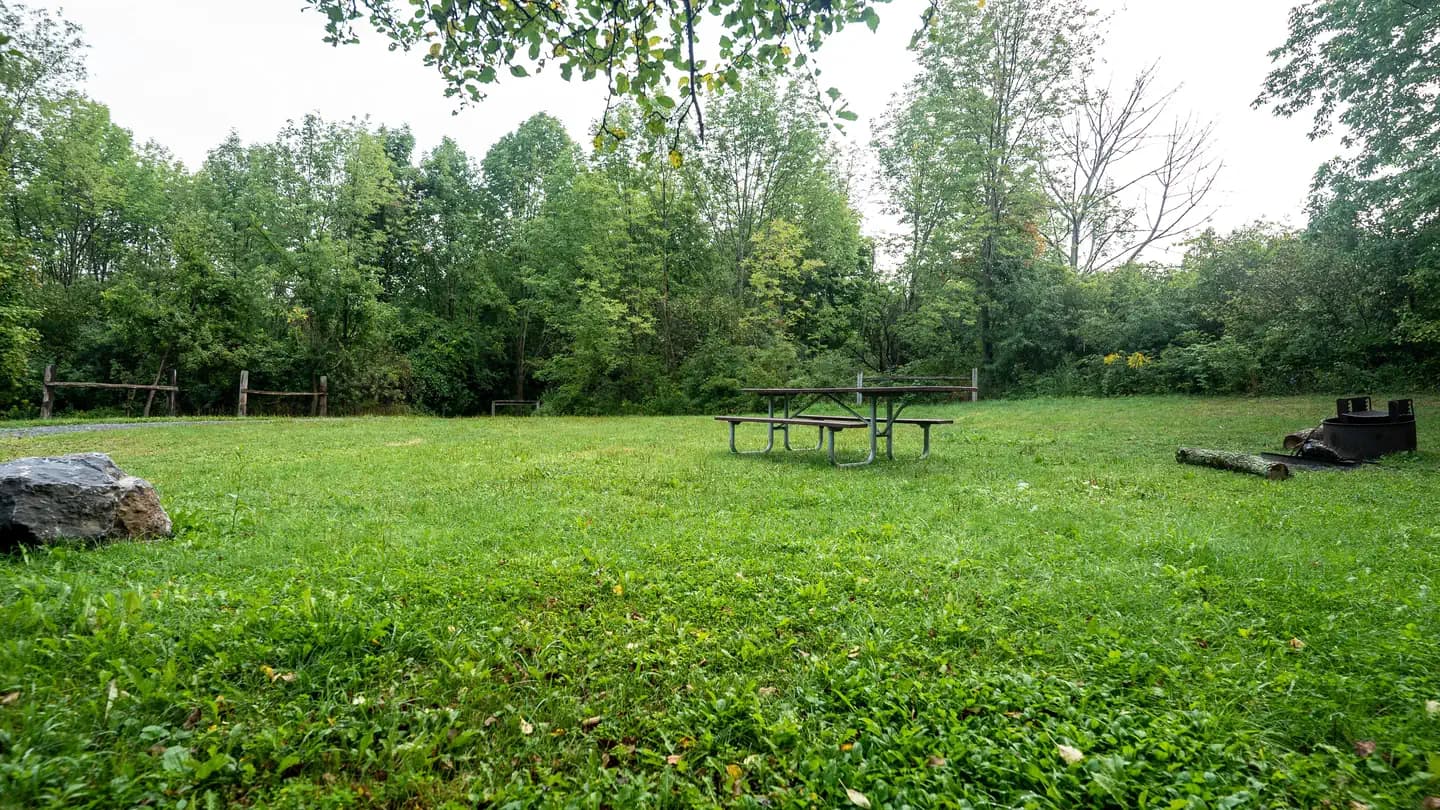 Backbone Horse Campground campground in US