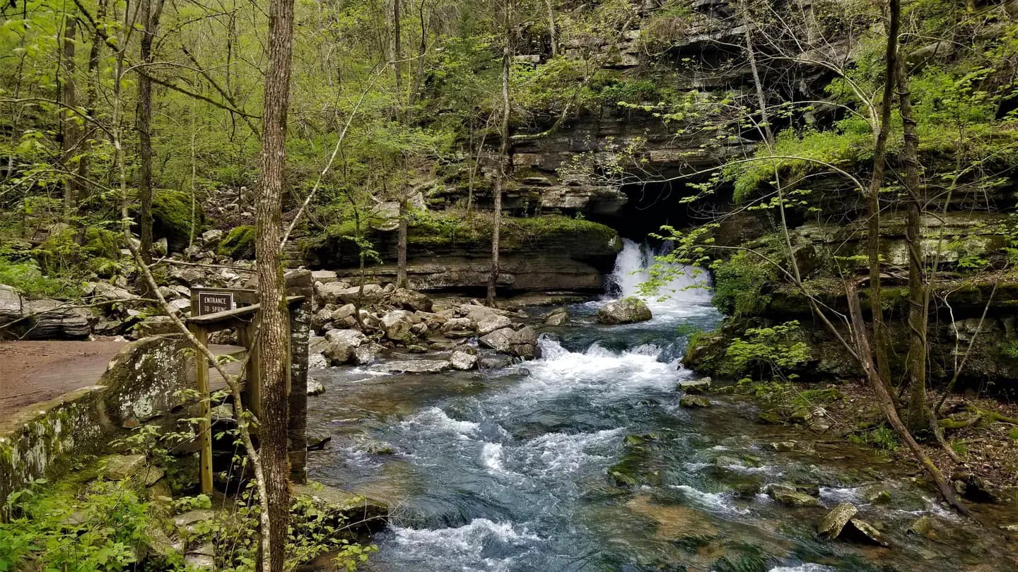 BLANCHARD SPRINGS RECREATION AREA campground in Arkansas