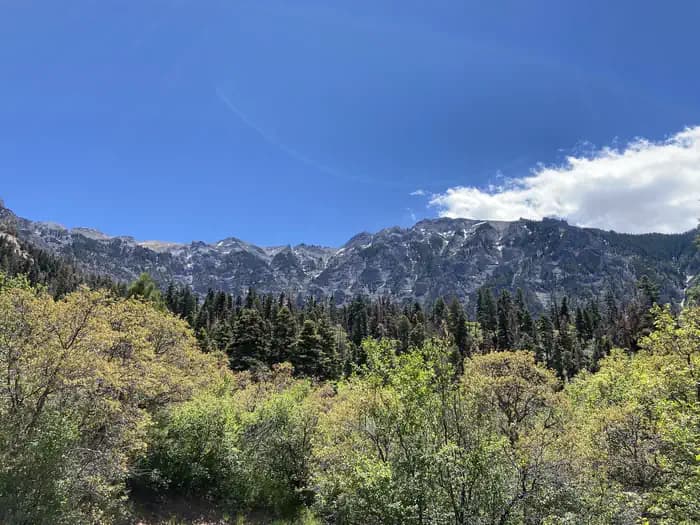 AMPHITHEATER (CO) campground in Colorado