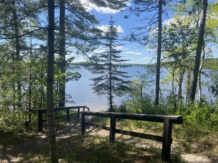 WILLIAMS NARROWS campground in Minnesota