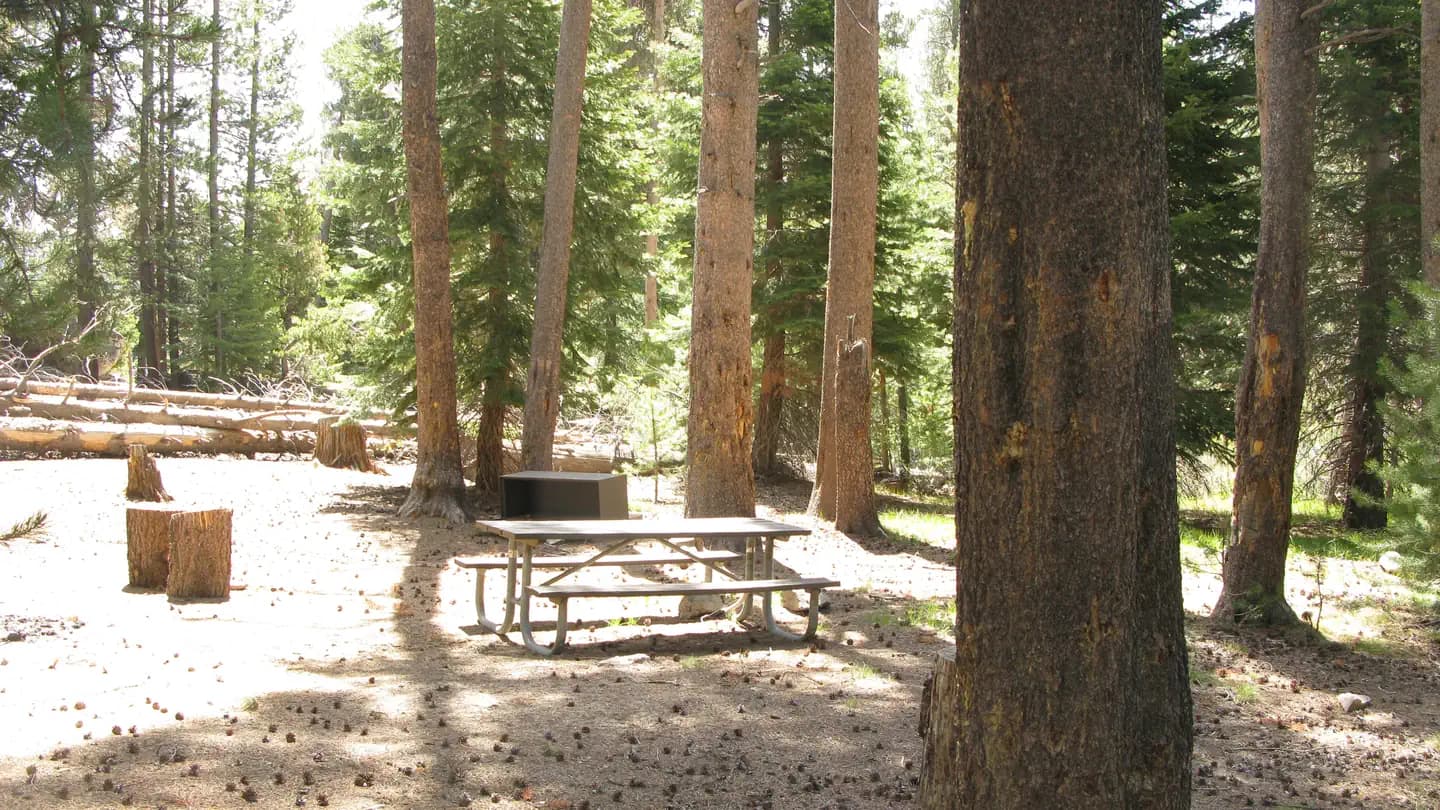 VERMILLION campground in California