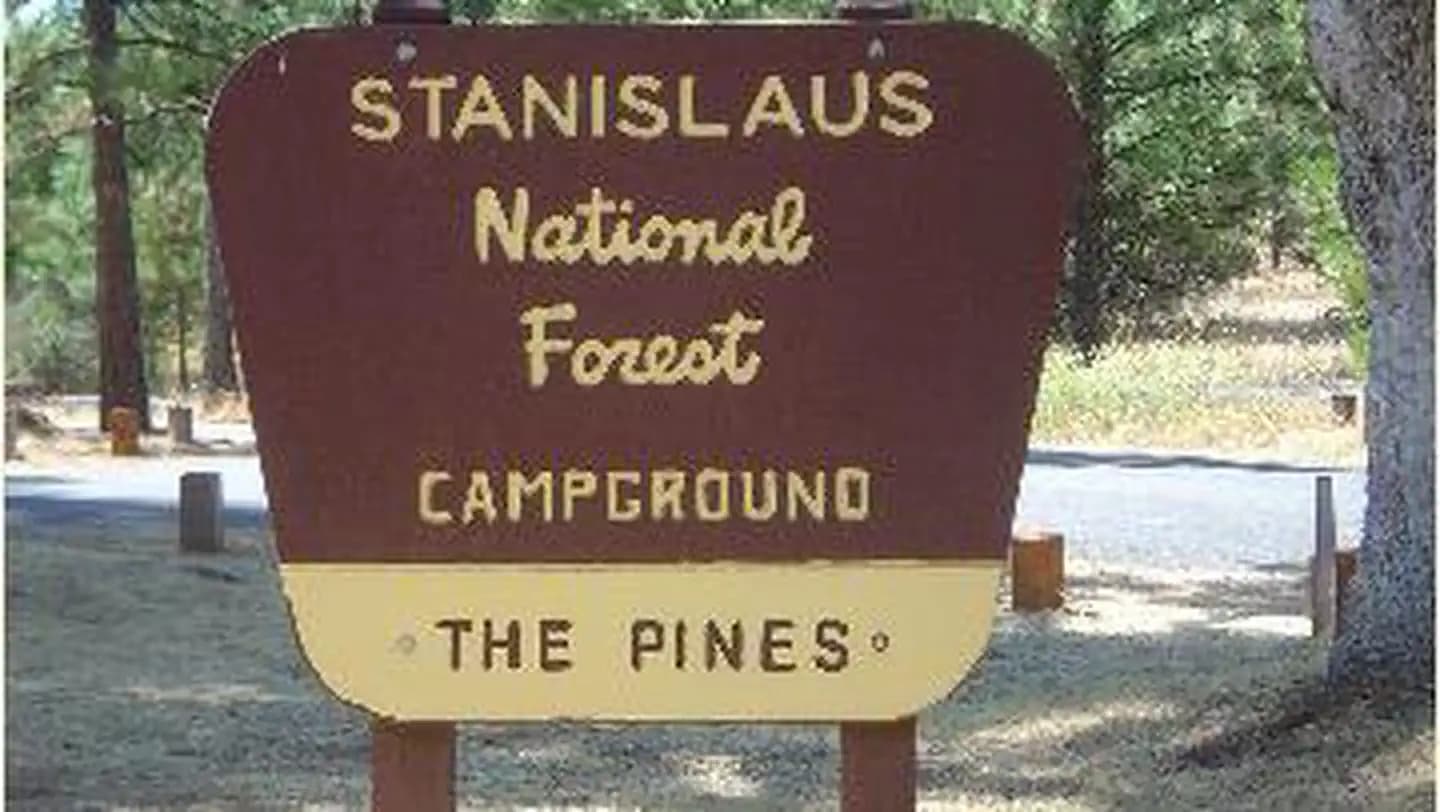 Pines Stanislaus campground in California
