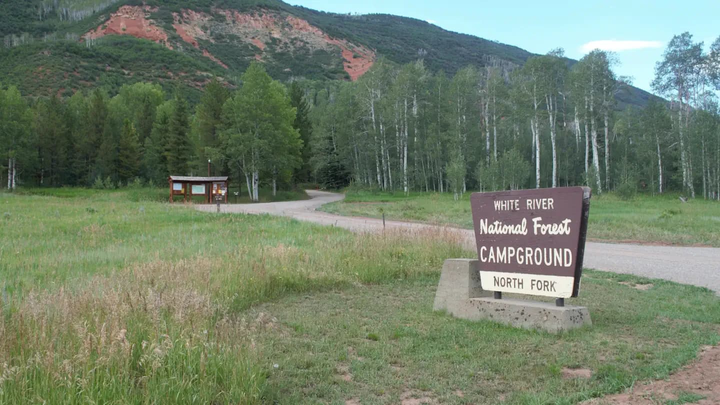 NORTH FORK CAMPGROUND campground in Colorado